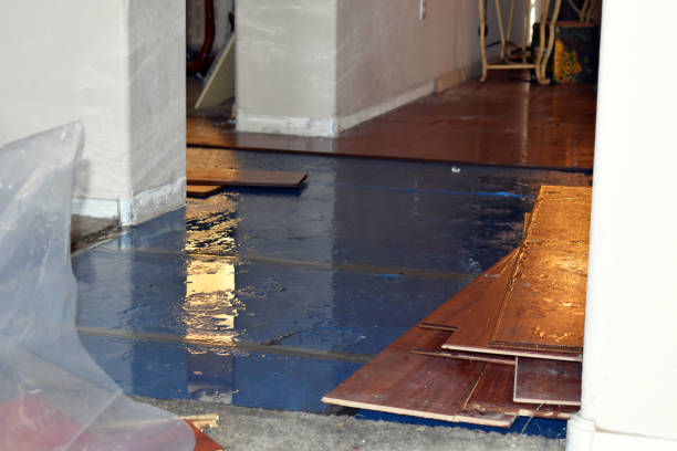 Professional Burst Pipe Water Damage technician working in Fulshear, TX